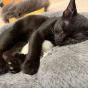 ヒメ日記 2025/08/02 14:19 投稿 はな【性感】 性感エステBianca豊中店