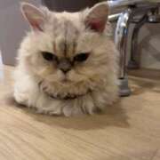 ヒメ日記 2025/08/16 08:25 投稿 はな【性感】 性感エステBianca豊中店