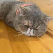 ヒメ日記 2025/08/23 23:11 投稿 はな【性感】 性感エステBianca豊中店