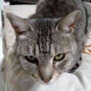 ヒメ日記 2025/09/24 21:10 投稿 はな【性感】 性感エステBianca豊中店