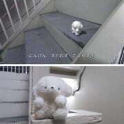 はな【性感】 そなたはつかれてる。 性感エステBianca豊中店