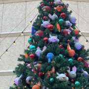 はな【性感】 日曜出勤だよ！ 性感エステBianca豊中店