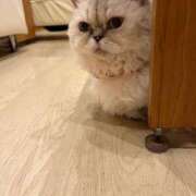 ヒメ日記 2025/12/09 12:31 投稿 はな【性感】 性感エステBianca豊中店