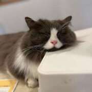 ヒメ日記 2025/12/22 23:15 投稿 はな【性感】 性感エステBianca豊中店