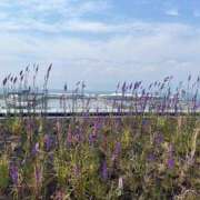 ヒメ日記 2026/02/24 19:53 投稿 はな【性感】 性感エステBianca豊中店