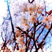 ヒメ日記 2026/04/08 22:12 投稿 はな【性感】 性感エステBianca豊中店