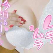 ヒメ日記 2025/06/24 13:15 投稿 ゆいな 成田人妻花壇