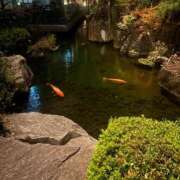 ヒメ日記 2025/12/28 20:01 投稿 ゆいな 成田人妻花壇