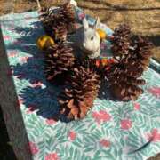 ヒメ日記 2026/01/16 19:05 投稿 ゆいな 成田人妻花壇