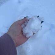 ヒメ日記 2026/02/09 01:38 投稿 ゆいな 成田人妻花壇