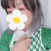 ヒメ日記 2025/10/14 12:20 投稿 れむ もぎスパ