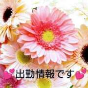 ヒメ日記 2025/07/20 23:55 投稿 あきな 待ちナビ