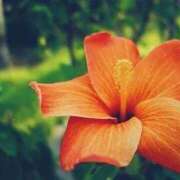 ヒメ日記 2025/09/20 21:15 投稿 あきな 待ちナビ