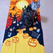 ヒメ日記 2025/10/31 08:00 投稿 美穂 素人妻達☆マイふぇらレディー