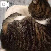 しのん ぐるぐる🐱 もぎスパ