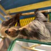 ヒメ日記 2025/09/01 18:56 投稿 愛瀬のあ 神戸ホットポイント