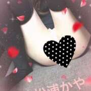 ヒメ日記 2026/04/29 09:12 投稿 松浦かや 柏東口ママ友さーくる