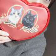 ヒメ日記 2025/10/14 16:40 投稿 ことり もぎスパ