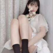 ヒメ日記 2025/11/06 15:01 投稿 ことり もぎスパ