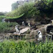 ヒメ日記 2025/08/11 16:29 投稿 れん non-non 神田(ノンノン神田)