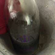 ヒメ日記 2025/11/28 01:15 投稿 れん non-non 神田(ノンノン神田)