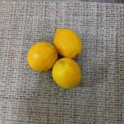 ヒメ日記 2025/06/01 21:59 投稿 らら 完熟ばなな札幌・すすきの