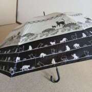 ヒメ日記 2025/06/16 10:34 投稿 らら 完熟ばなな札幌・すすきの