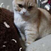 ヒメ日記 2025/07/03 18:39 投稿 らら 完熟ばなな札幌・すすきの