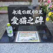 ヒメ日記 2025/08/09 11:29 投稿 らら 完熟ばなな札幌・すすきの