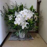 ヒメ日記 2025/11/22 13:18 投稿 らら 完熟ばなな札幌・すすきの