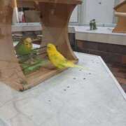 ヒメ日記 2026/01/05 15:19 投稿 らら 完熟ばなな札幌・すすきの