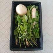 ヒメ日記 2026/01/07 07:49 投稿 らら 完熟ばなな札幌・すすきの