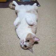 ヒメ日記 2026/02/22 09:19 投稿 らら 完熟ばなな札幌・すすきの