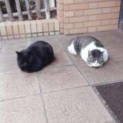 ヒメ日記 2026/03/04 06:49 投稿 らら 完熟ばなな札幌・すすきの