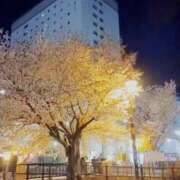 ヒメ日記 2026/04/25 22:29 投稿 らら 完熟ばなな札幌・すすきの