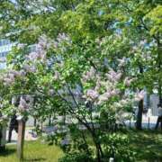 ヒメ日記 2026/05/22 13:19 投稿 らら 完熟ばなな札幌・すすきの