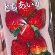 ヒメ日記 2025/11/28 22:55 投稿 かなみ SWEET～berta～