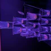 ヒメ日記 2025/05/24 01:09 投稿 めち みつばちマーヤZ