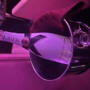 ヒメ日記 2025/05/28 23:49 投稿 めち みつばちマーヤZ