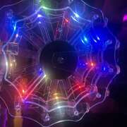 ヒメ日記 2025/06/29 01:13 投稿 めち みつばちマーヤZ