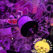 ヒメ日記 2025/08/18 01:52 投稿 めち みつばちマーヤZ