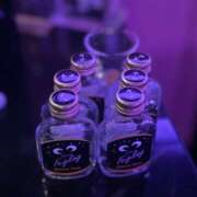 ヒメ日記 2025/09/24 01:19 投稿 めち みつばちマーヤZ