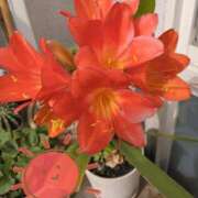 相澤あさひ おはようございます☆ 五十路マダム金沢店