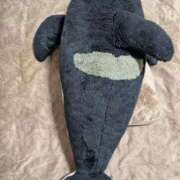 ヒメ日記 2025/10/28 23:22 投稿 そのみ 池袋おかあさん