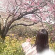 ヒメ日記 2026/03/04 19:30 投稿 白石ゆり 多恋人倶楽部