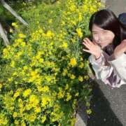 ヒメ日記 2026/03/24 08:00 投稿 白石ゆり 多恋人倶楽部