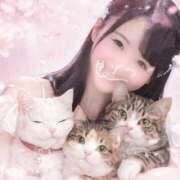 ヒメ日記 2026/03/29 18:31 投稿 白石ゆり 多恋人倶楽部