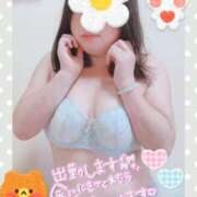 ヒメ日記 2025/06/20 12:43 投稿 さつき もみもみワンダーランド