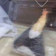 ヒメ日記 2025/05/17 14:59 投稿 ののあ ダイスキ