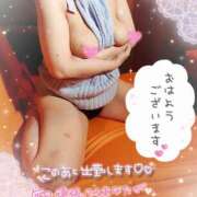 ヒメ日記 2025/05/11 12:21 投稿 宝木刹那(たからぎせつな) 姫路マダム大奥